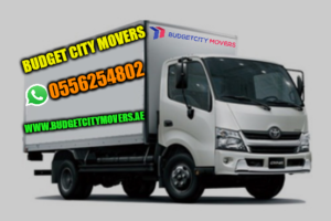 Choose Professional Movers and Packers in Dubai